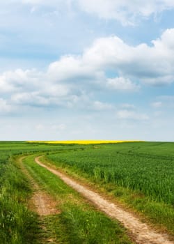 summer landscape, sultry summer days, country rural road, through fields