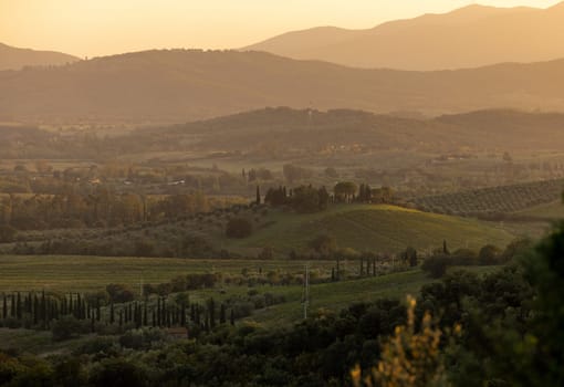 Farmland and olive groves around Montemassi in the province of Grosseto. Italy