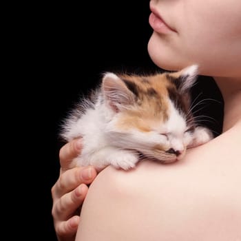 pretty kitten on the shoulder of pretty girl