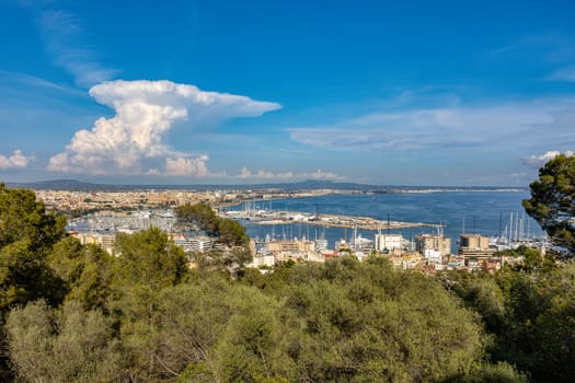Scenic view of capital city Palma de Mallorca cityscape. View from Bellver Castle hill to old town centre with cathedral La Seu. Balearic Islands Mallorca Spain.