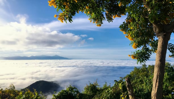 Beautiful of cloud sky colorful sunrise and view mist moving on mountain in twilight nature
