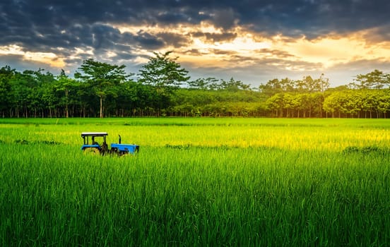 Rice field rural with tractor in colorful of cloud sky sunset and sunlight in twilight, Green field rural countryside