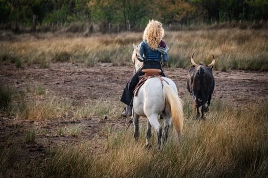 Cowboy carrying a long cattle prod near a herd of bulls, Camargue, France