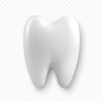 Vector 3d Realistic Tooth. Dental Inspection Banner, Plackard. Tooth Icon Closeup Isolated. Top, Front View. Medical, Dentist Design Template. Dental Health Concept.