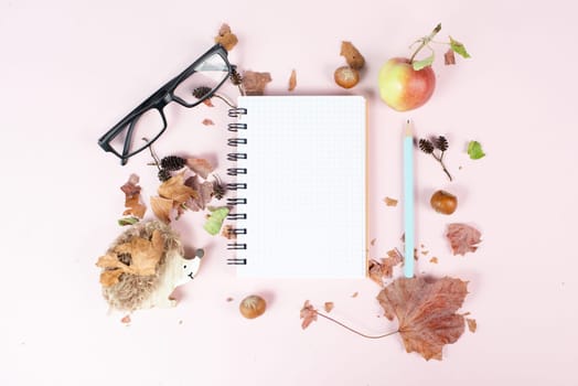 Empty notebook with eyeglasses, an apple and a hedgehog, autumn template with colorful leaves, office desk, pastel color