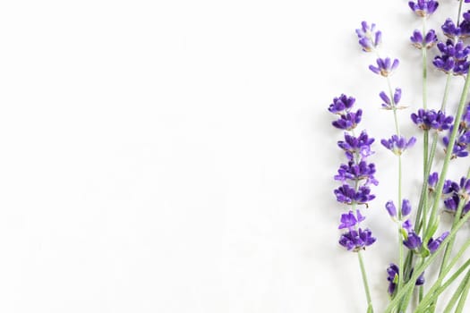 Lavendar flowers on marble surface with copy space.