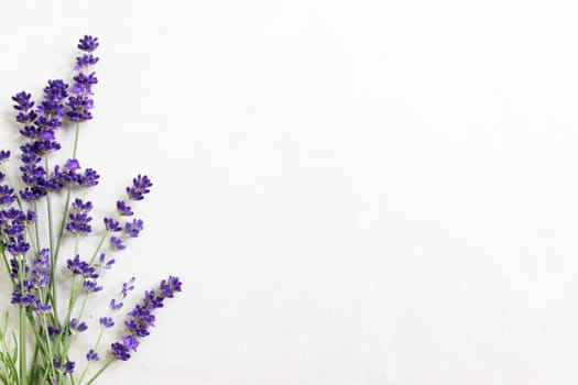 Lavendar flowers on marble surface with copy space.