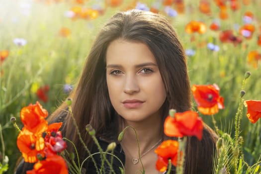 Closeup portrait of atractive long haired  brunette girl posing in red poppies meadow in sunlight. Horizontally.
