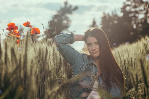 Atractive long haired  brunette girl dressed in blue jeans is posing in a cornfield. The photo is edited as a cinema photo. Horizontally.