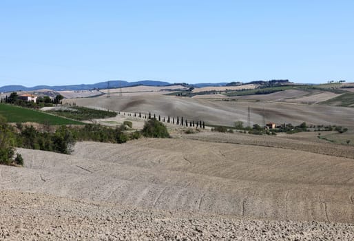 The rural landscape near San Quirico in Tuscany. Italy