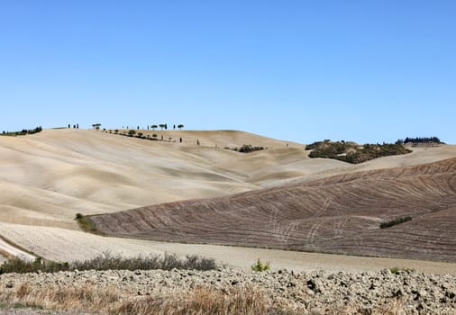 The rural landscape near San Quirico in Tuscany. Italy