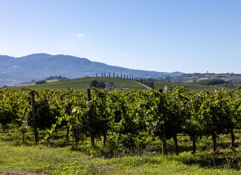 The rural landscape near Pienza in Tuscany. Italy