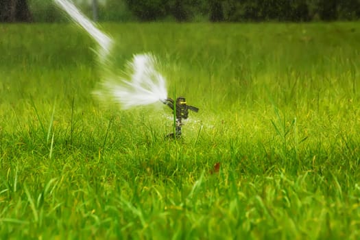 The sprinklers in the park are working.