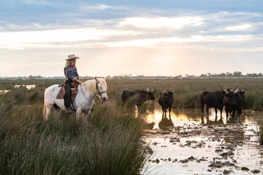 Cowboy carrying a long cattle prod near a herd of bulls, Camargue, France