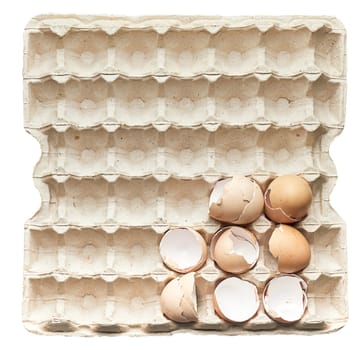 Eggshell in a paper tray, top view