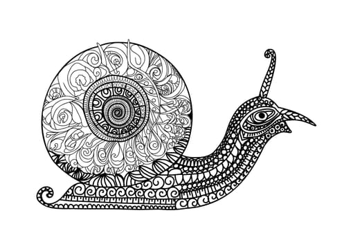 Mollusk snail in zentangle style.Simple line illustration for coloring book Snail with shell.Coloring page