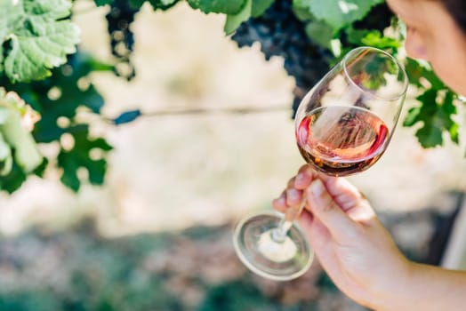 Woman holding  and smelling glass of red wine in vineyard field. Wine tasting in outdoor winery. Grape production and wine making concept.