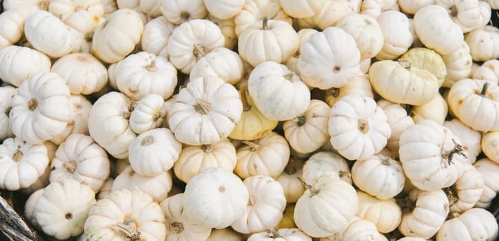 Autumn decorative pumpkins on farm market from above. Halloween and  thanksgiving pumpkin crop in basket. Thanksgiving dinner and halloween party design background. Fall nature concept top view.