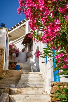Beautiful entrance to traditional Greek island house. Old stone stairs, whitewashed walls and blue doors, pink bougainvillea in full blossom in foreground. Mediterranean lifestyle. Selective focus. Mykonos, Cyclades, Greece.