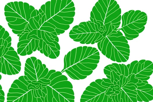 Illustrative image of mint leaf isolated. fresh mint leaves isolated on white background