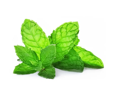 mint leaf isolated. fresh mint on white background