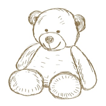 Hand drawn Teddy bear doodle Vector illustration