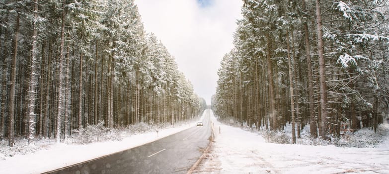 Road through a snow covered forest, slippery and frosty street in winter, empty highway in cold temperature, seasonal weather and landscape
