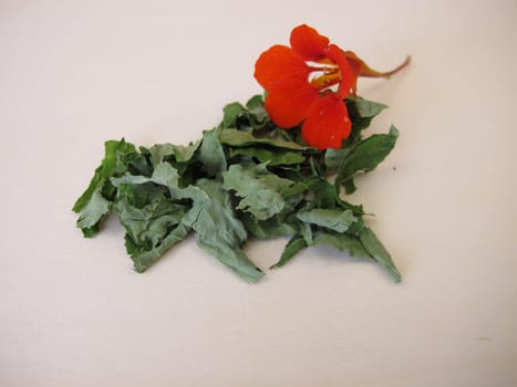Dried garden nasturtium herbs, Tropaeoli herba