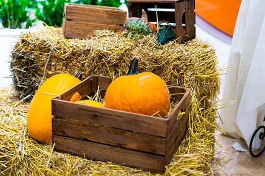 Ripe orange autumn pumpkins in wooden baskets with straw, hay bales farmers market for Halloween.
