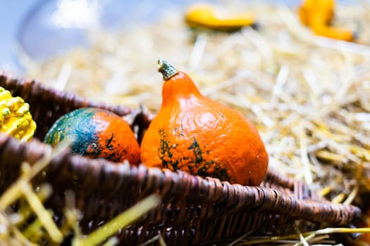 Ripe orange autumn pumpkins in wooden baskets with straw, hay bales farmers market for Halloween.