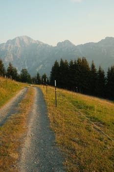 Gravel road on a mountain meadow at sunrise near Saalfelden in Austria