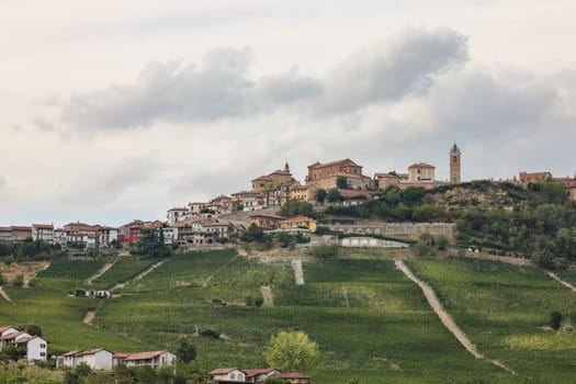 Langhe vineyards near La Morra, Unesco Site, Piedmont, Italy