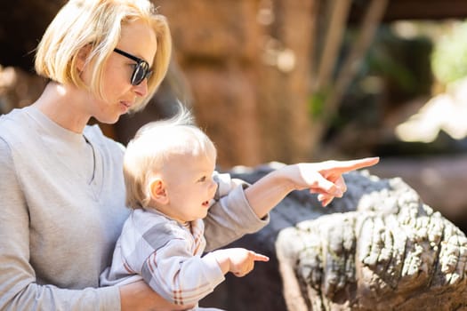 Caucasian blonde mother holding her infant baby boy child in her lap watching crocodile in zoo. Happy family having fun with animals safari park on warm summer day.