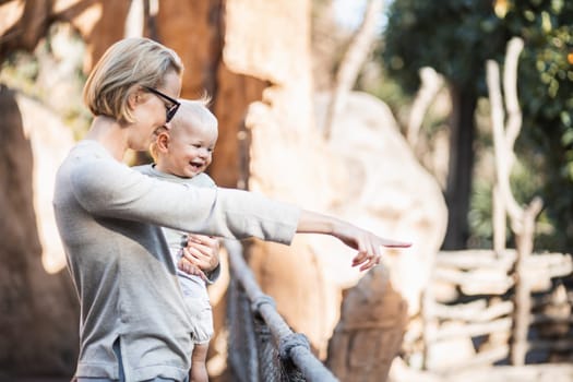 Caucasian blonde mother holding her infant baby boy child in her lap watching animals in zoo. Happy family having fun with animals safari park on warm summer day.