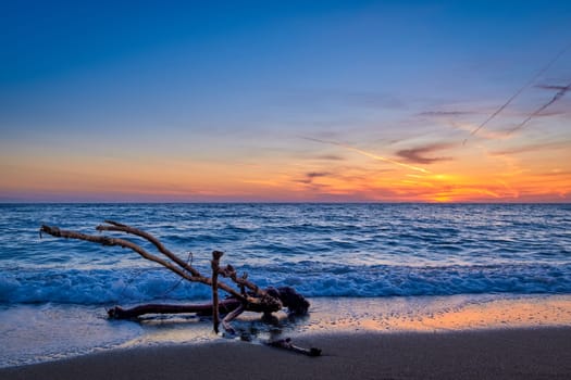 Sunset on sandy beach, piece of driftwood washed by tidal waves. Great sunset sky, sun touch horizon, hazy clouds, golden sand. Unique shaped branch of driftwood in white sea spray. Nature, peace, meditation, relax.