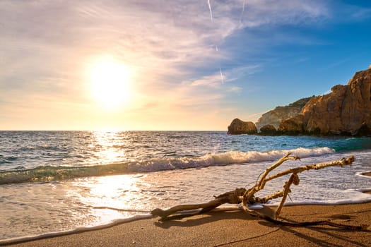 Sunset on sandy beach, piece of driftwood washed by tidal waves. Big low sun, sun flares on sea waters, hazy clouds, golden sand, rocky cliffs. Unique shaped branch of driftwood in white sea spray. Nature, peace, meditation, relax.