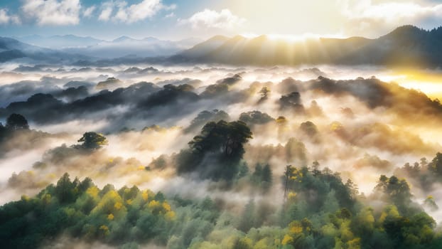 The Forest morning with golden sunlight in countryside in Taiwan, Asia - ai generated