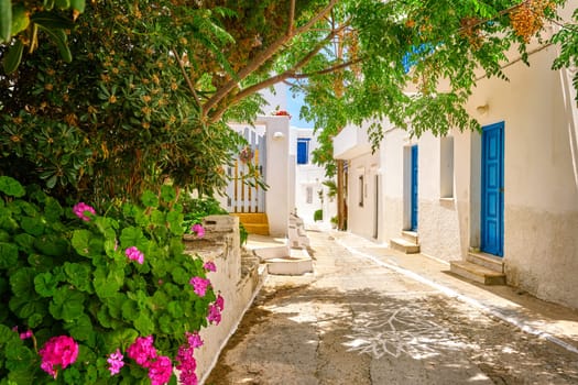 Cosy traditional summer streets and beautiful walkways of Greek town, Naousa, Paros island, Aegean sea, Greece. Whitewashed houses, lush foliage, sunshine and shade, traditional style, vacations destination, plane trees, steps and doors.