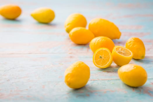 Limequats ( botanically known as Citrus x floridana ) hybrid of West Indian lime and kumquat