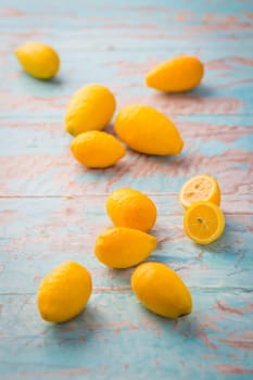 Limequats ( botanically known as Citrus x floridana ) hybrid of West Indian lime and kumquat