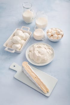 Assortment of milk products - buttermilk, kefir, yogurt with probiotics, ayran, cheese, mozzarella, quark and cream.