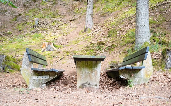 A bench and table in the forest, idyllic outdoor picnic, rest zone in the woodland