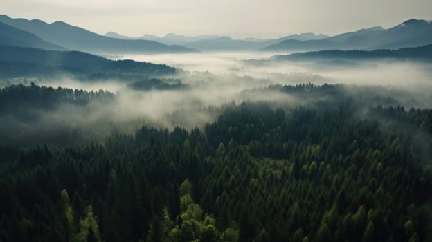 Misty foggy mountain landscape with forest. Generative AI