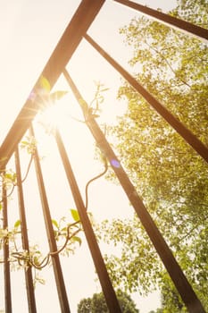Sunshine beyond railing bars with light flare.
