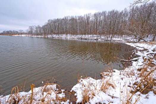 Snowy Cove on A Forested Lake in Busse Wood Preserve in Illinois