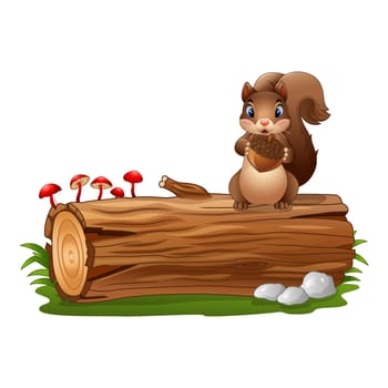 Cartoon squirrel holding acorn
