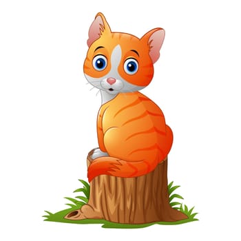 Cute baby cat sitting on tree stump