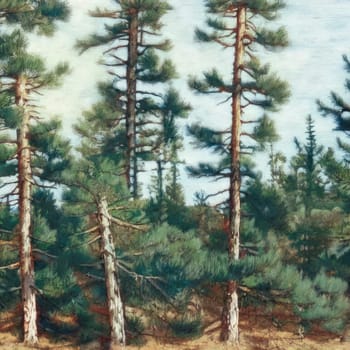 Pine. Image created by AI