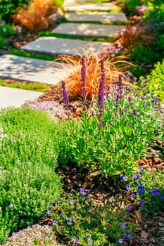 Detail of garden path with stone slabs with bark mulch and native plants. Landscaping and gardening concept.
