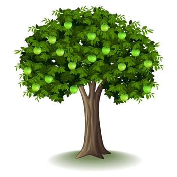 Apple tree isolated on white background